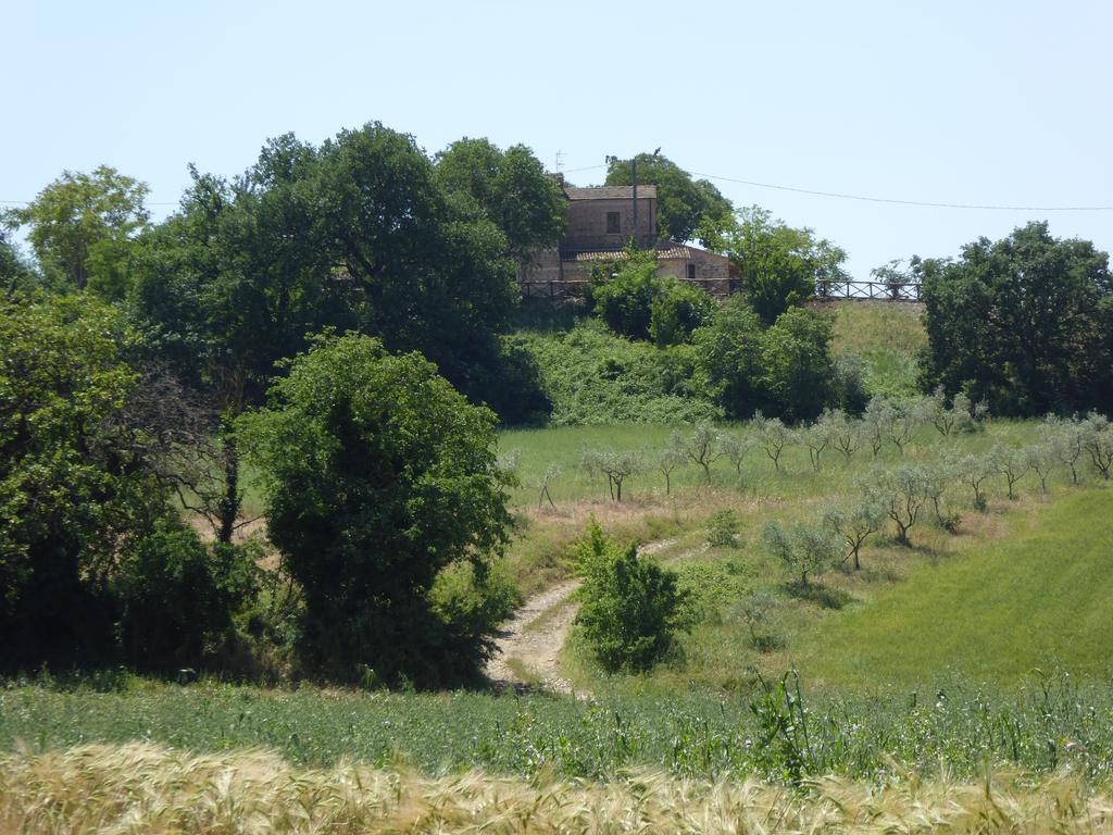 Pietre Di Fiume Villa Apice Dış mekan fotoğraf